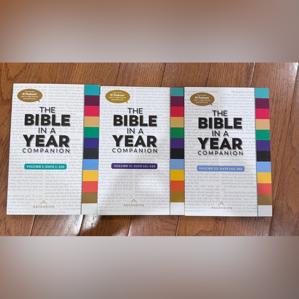 Bible in a Year Companion Set - Multicolor